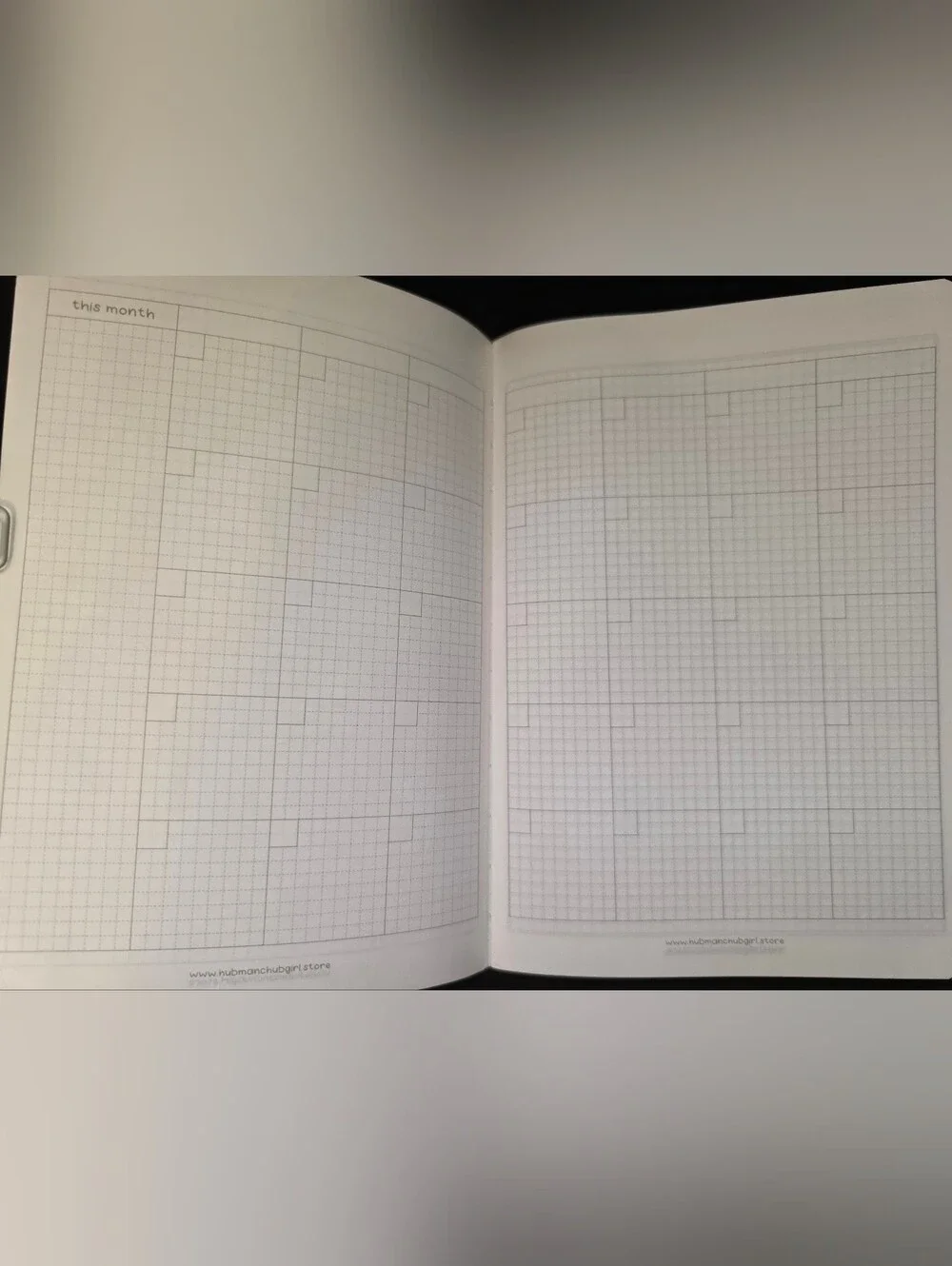 Hubman & Chubgirl 3 Month Daily Planner